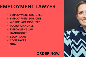 manage workplace disputes,termination, wages,compliance cases and labor disputes