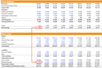 provide professional financial analysis and accounting