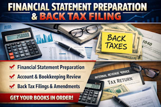 prepare financial statements, review accounts and handle back tax filings