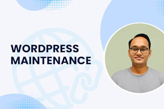 maintain and fix issues on your wordpress website