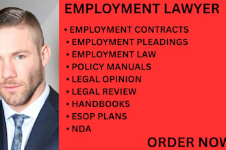 expertly draft your eb1 or eb2 niw visa petition cover letter