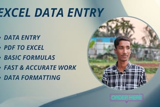 do accurate data entry and microsoft excel work