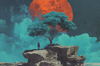design album or single cover art