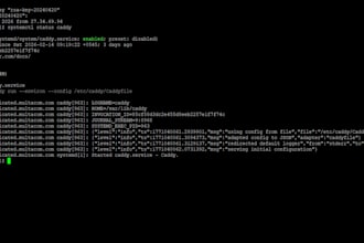 install configure caddy server modules for wordpress