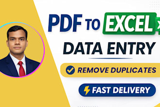 do data entry and PDF to excel conversion
