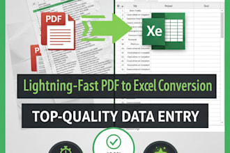 convert pdf to excel with accurate data entry