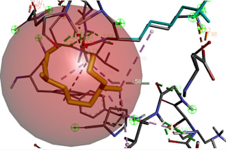 do molecular docking and phylogenetic analysis
