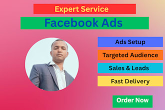 set up and run targeted facebook ads campaigns