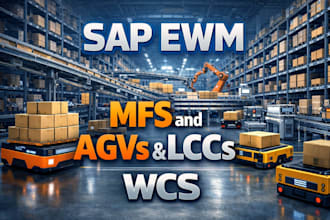provide sap ewm, mfs, mm, sd, abap consulting and automation
