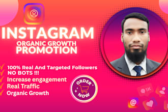 do instagram promotion for fast organic growth and marketing
