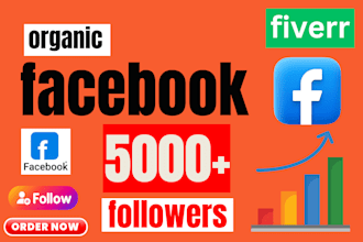 do guaranteed one thousand usa facebook followers instant