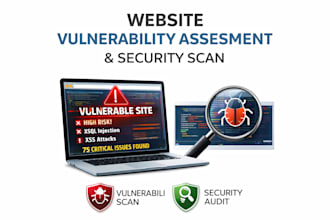 perform vulnerability assessment and security scan on your website