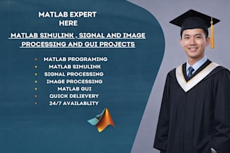do matlab programming matlab simulink and gui task and projects