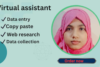 perform precise data entry, copypaste work, web research