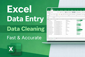 do excel data entry, sorting, cleaning and formatting