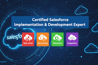 your salesforce admin, developer and salesforce implementation