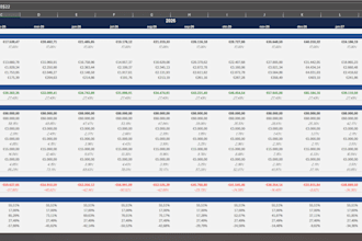 build a professional excel financial model