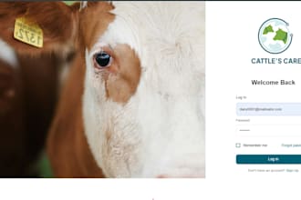 build your full stack saas web  mobile app with nextjs  react native  supabase