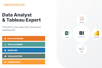 be your tableau expert, tutor, and data analyst