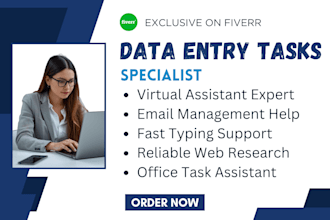 handle admin tasks web research and data management for your office