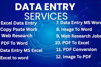 do professional data entry, copy paste and excel data entry work