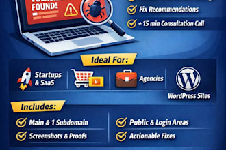 perform a professional website security audit