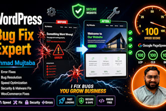 fix wordpress bugs, errors, speed issues and secure your website