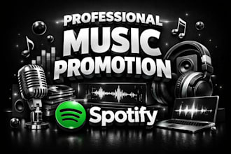 professional music promotion for spotify song