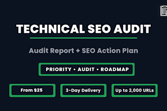 do a technical SEO audit with a clear action plan