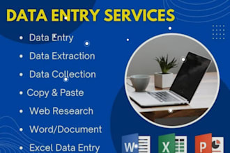 data entry, excel data typing and web research