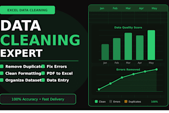 do excel data cleaning and formatting