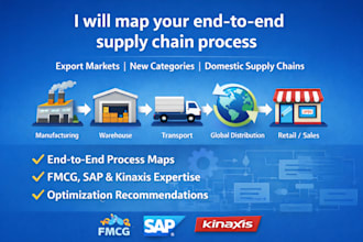 perform professional end to end supply chain process mapping