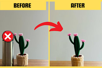 remove unwanted objects from photos professionally