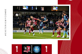 provide professional football analysis and match reports