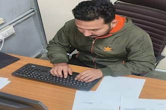 professionally translate from english to punjabi, hindi
