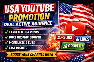 do USA youtube promotion, 1 million views to USA active audience