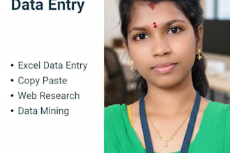 do accurate data entry, excel work and web research