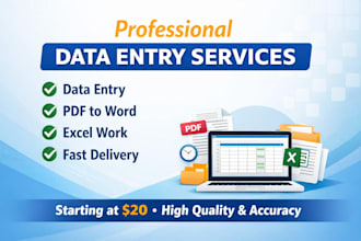 provide professional data entry and excel services