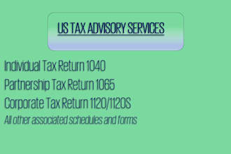 prepare and minimize US tax filings, 1040, 1065, 1120, 5472