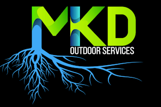design your logo to the best of my ability
