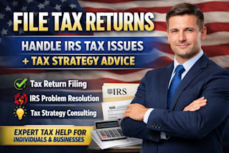 file tax returns, handle irs tax issues, and provide tax strategy advice