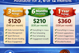be your professional facebook page moderator and manager