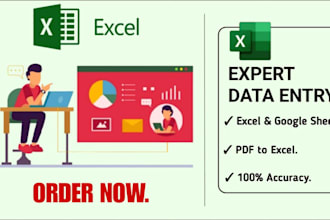 do accurate PDF to excel and manual data entry work