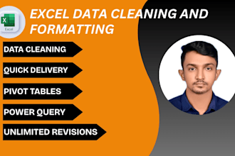 clean, format, and organize your excel data