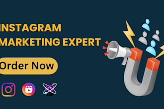 be your instagram marketing expert
