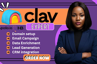 setup clay com automation, apollo io sequences, instantly ai, hubspot, zoho crm
