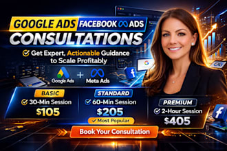 do meta or google ads consultation, audit, and training