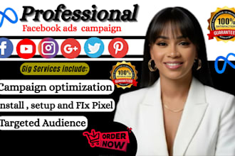 setup and manage facebook ads meta ads campaign with pixel tracking