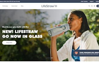 create one product branded shopify store, one product shopify dropshipping store