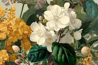 best illustration in vintage and retro styles